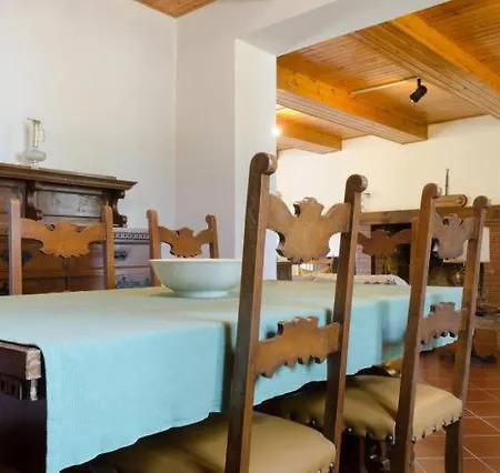 Villa House Among The Olive Trees *