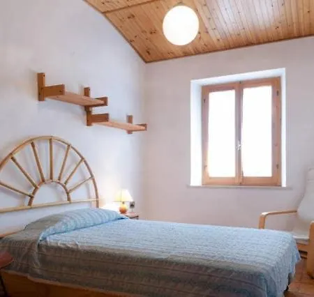 House Among The Olive Trees *