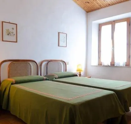 Villa House Among The Olive Trees *